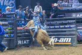 Gresford's Lachlan Richardson in one of the rides of the night on Blondie's Bomber at the Cairns leg of the PBR State of Origin series. Picture from PBR content