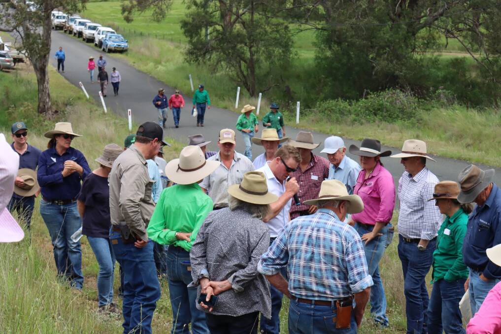 Te first Hunter LLS Regen Ag Field Day was held at Timor in the Upper Hunter it was run under the The Paddock between the Ears program. Picture supplied
